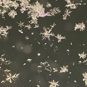 Meet your Posher, Pamelaa